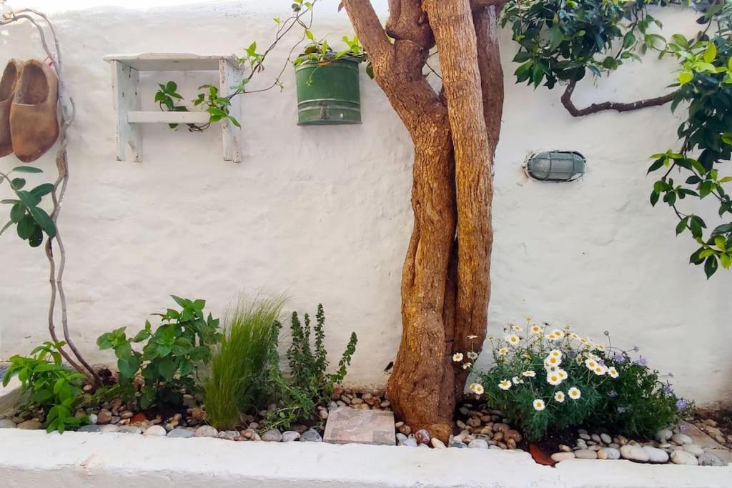 Holiday home Town House With Rooftop Jacuzzi *